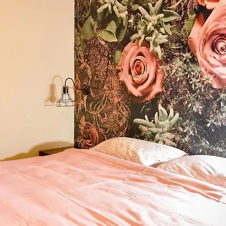 Apartment Karina Art One Bedroom